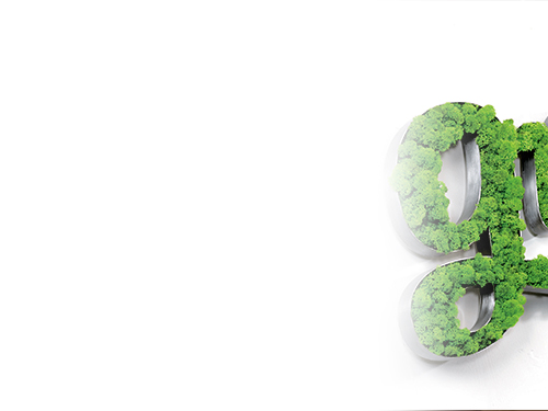 Работаем быстро и сдаем проекты в срок