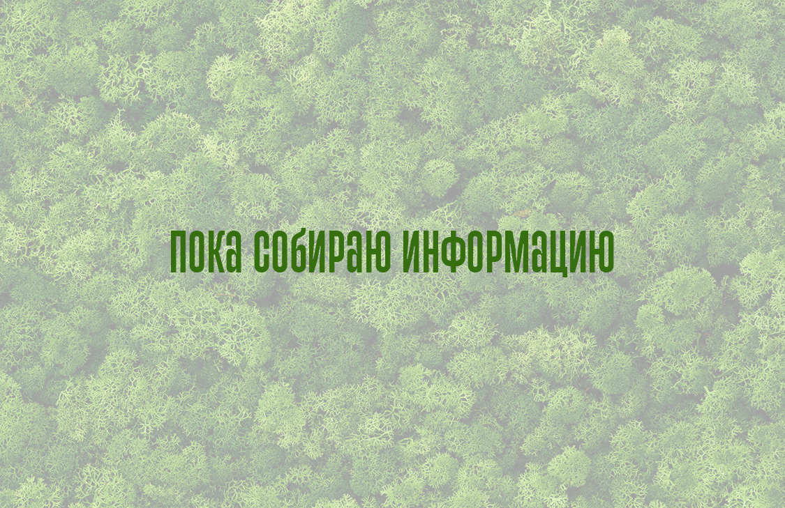 Пока собираю информацию и считаю бюджет