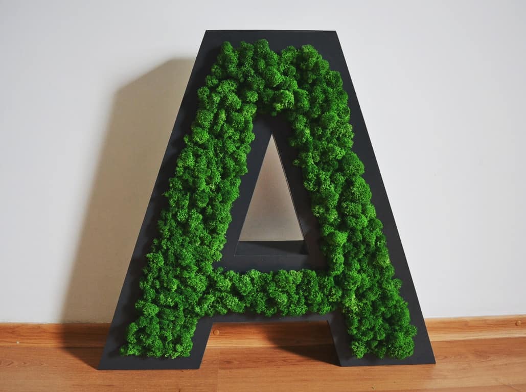 Бюджетное решение